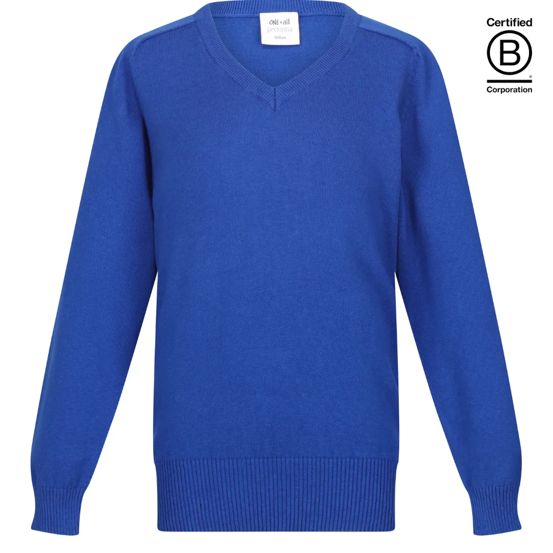 Boys / Unisex Performa cotton v-neck school jumper / pullover - plain