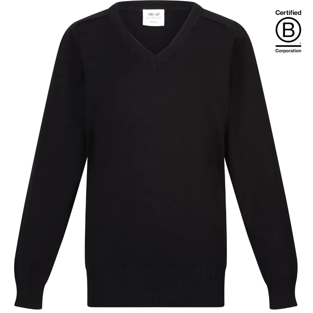 Boys / Unisex Performa cotton v-neck school jumper / pullover - plain